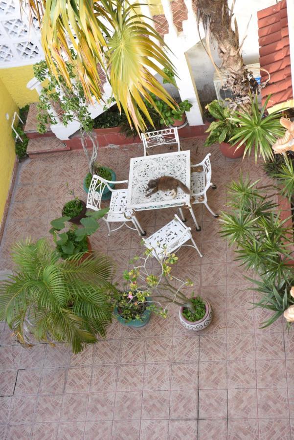 Cancun Guest House מראה חיצוני תמונה