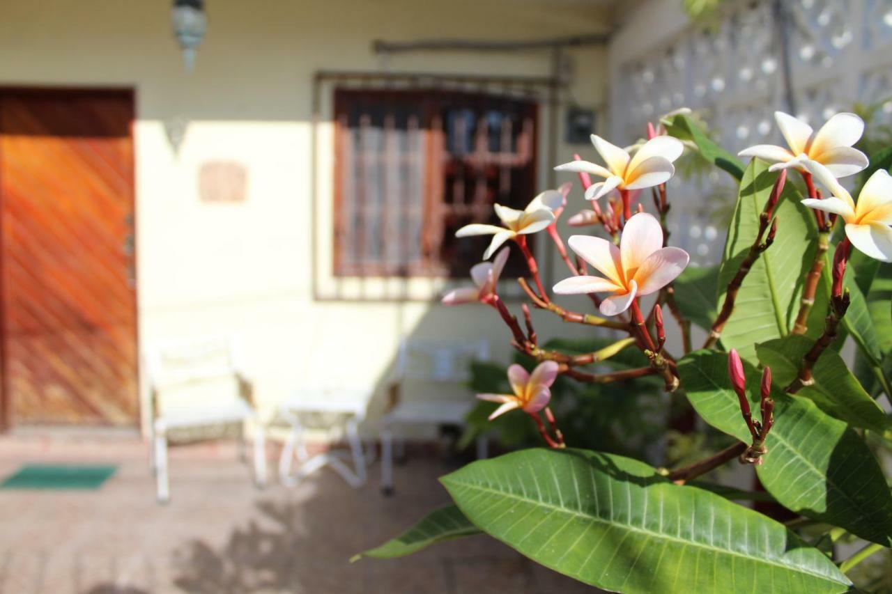 Cancun Guest House מראה חיצוני תמונה