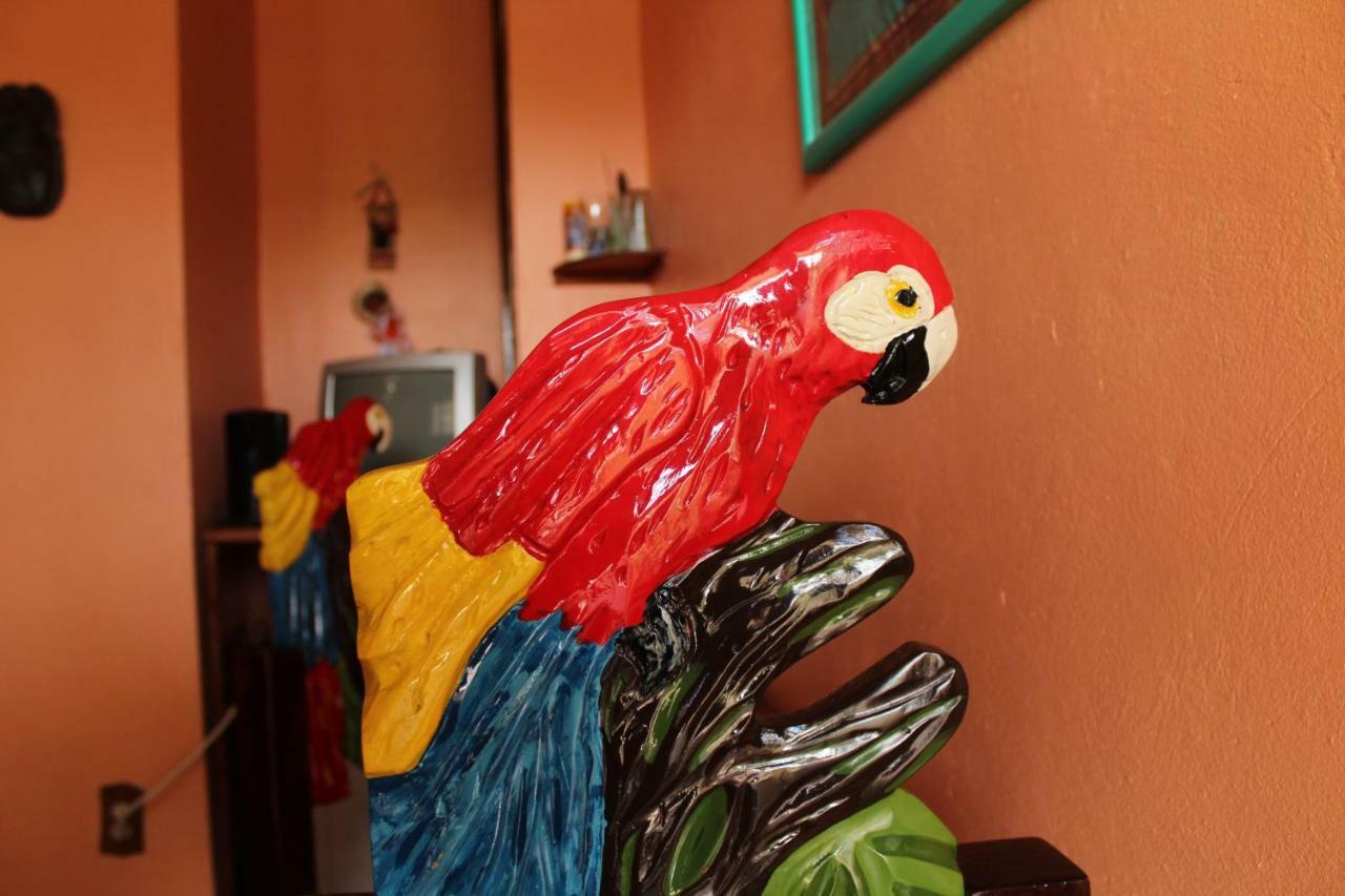 Cancun Guest House מראה חיצוני תמונה